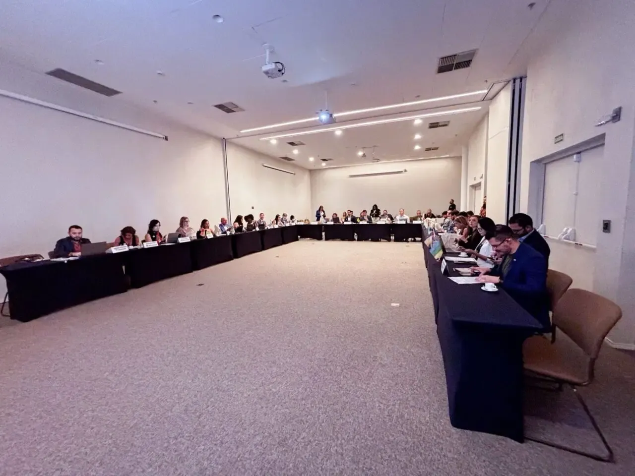 PRESERVAÇÃO AMBIENTAL - Rondônia discute impactos da Lei de Licenciamento Ambiental durante a 123ª Reunião Ordinária, em Teresina