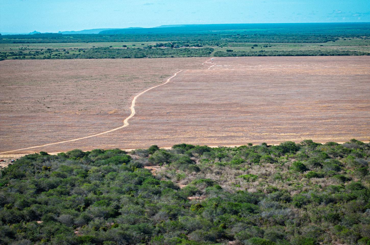 Reportagens - Avanço de monoculturas pressiona comunidades na Chapada do Araripe