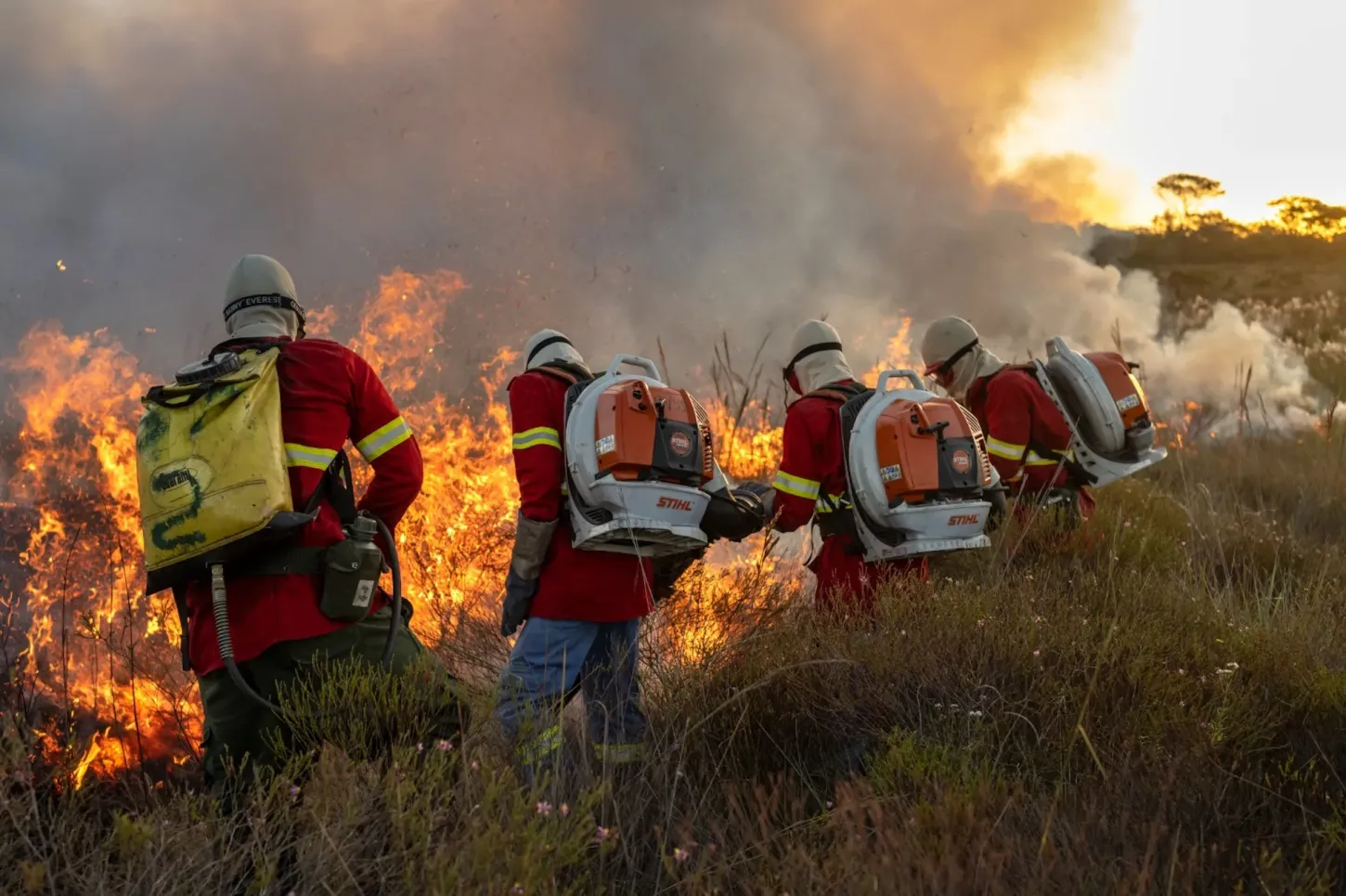 Salada Verde - Edital destina R$ 800 mil para prevenção de incêndios no Cerrado de Goiás