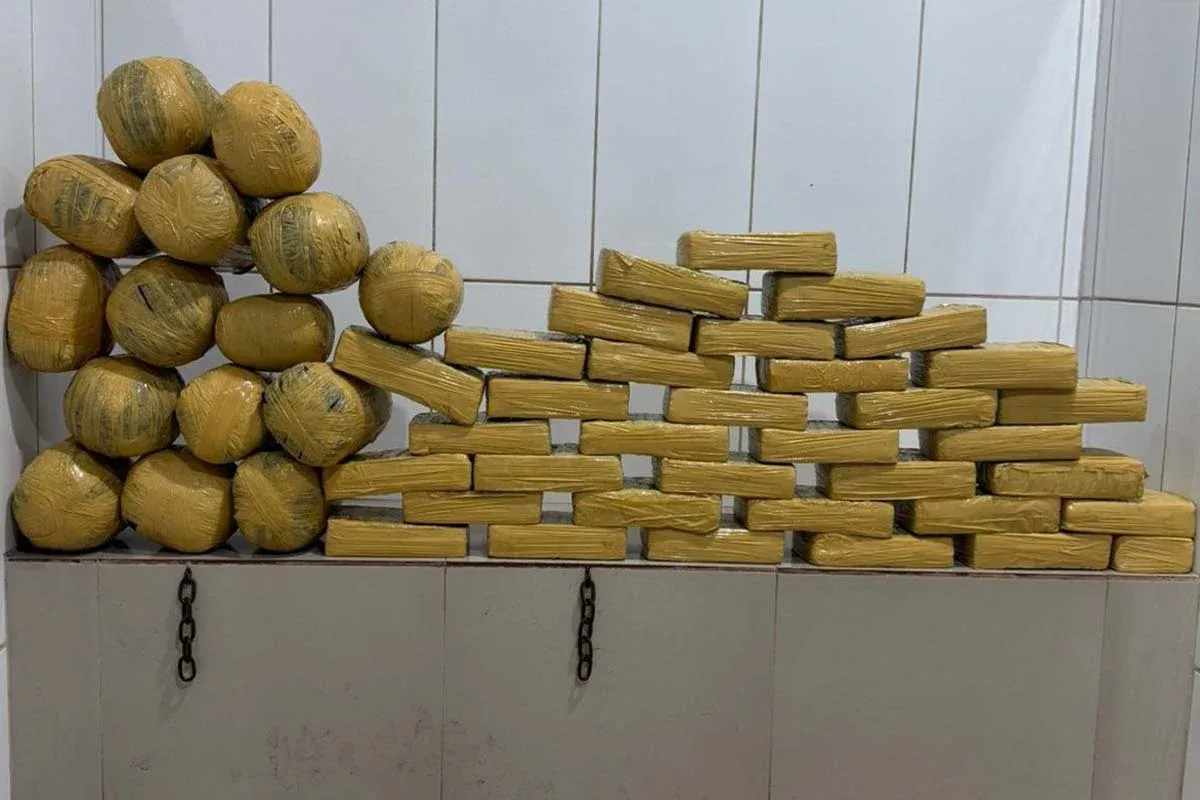 Ação - Polícia Militar apreende aproximadamente 54 quilos de maconha em Cacoal