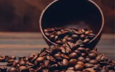 Agronegócios | Agronegócios - Café arábica tem queda nesta quinta-feira (23), vendido a R$ 1.770,08