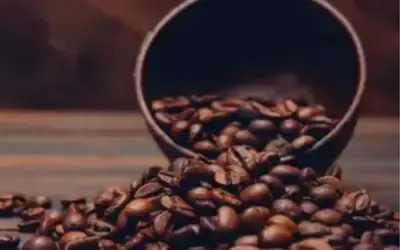 Agronegócios | Agronegócios - Café hoje: confira as cotações para esta quarta-feira (29)