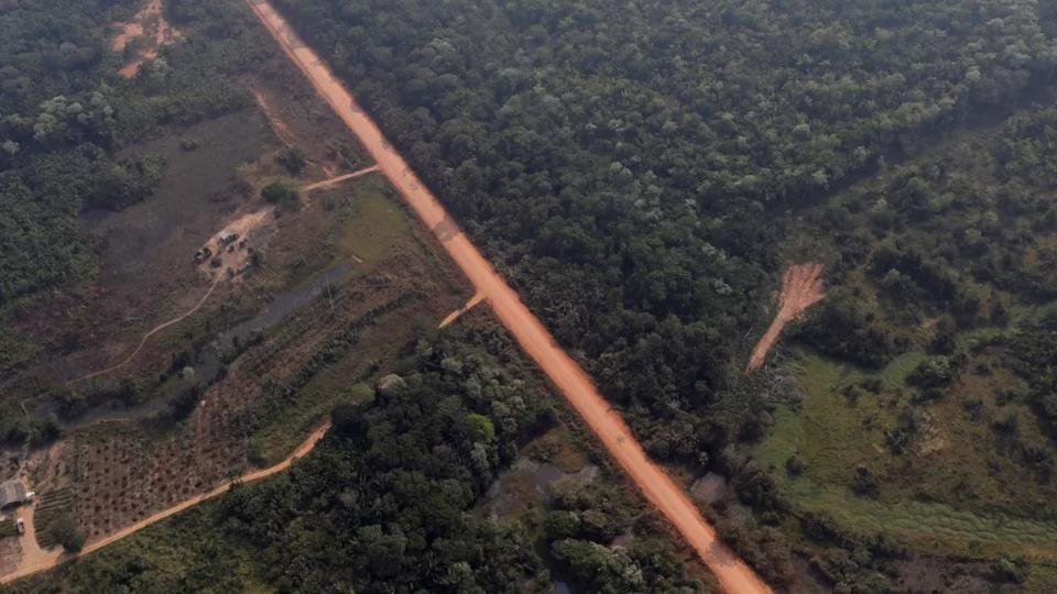 Diário da Amazônia -  Entre asfalto e floresta surge debate sobre regras e impactos