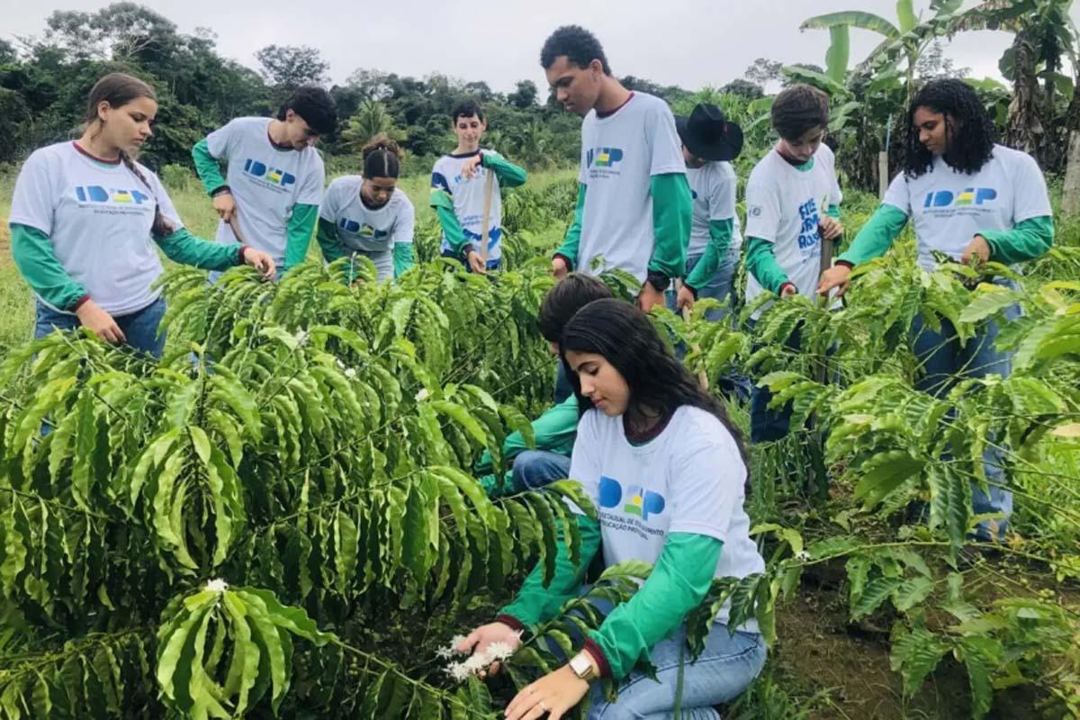 EDUCAÇÃO RURAL - Formação técnica fortalece agricultura familiar e prepara jovens para atuar nas propriedades rurais em Rondônia