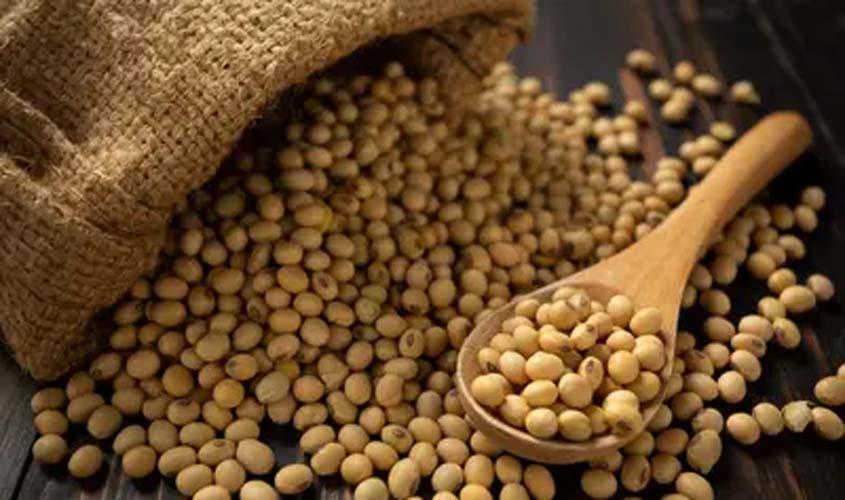 Soja e trigo hoje: veja cotações desta terça (7)