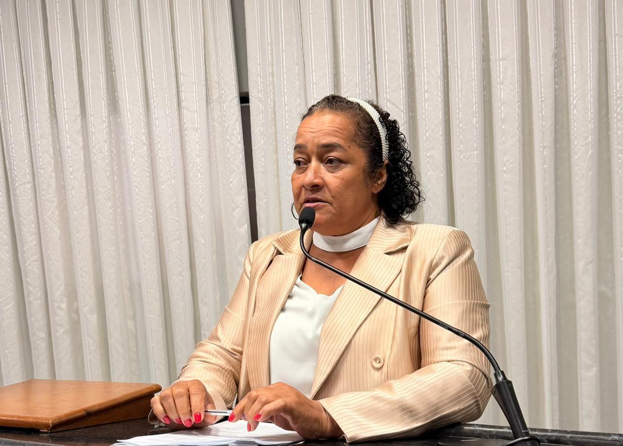 Vereadora Cida encaminhou ao Executivo solicitações para substituição da ponte na Avenida 7 de setembro e reforma das Unidades Básicas de Saúde