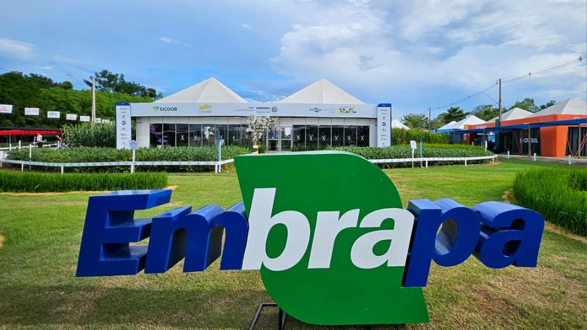 Agronegócio - Rondônia Rural Show: Embrapa e parceiros promovem Agro Summit Amazônia