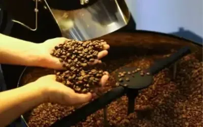 Agronegócios | Agronegócios - Café hoje: confira cotações para esta quarta-feira (13)