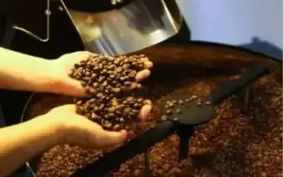 Agronegócios | Agronegócios - Café hoje: confira cotações para esta quinta-feira (14)