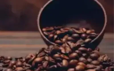 Agronegócios | Agronegócios - Café hoje: confira cotações para esta segunda-feira (11)