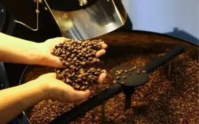 Agronegócios | Agronegócios - Café hoje: confira cotações para esta terça-feira (12)