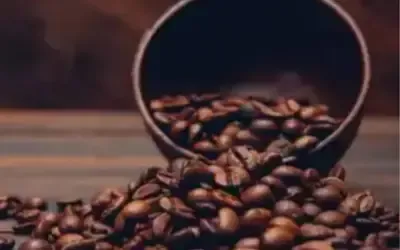 Agronegócios | Agronegócios - Café hoje: confira cotações para esta terça-feira (5)