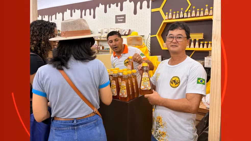 Hidromel dos vikings? Bebida milenar ganha versão produzida em Rondônia