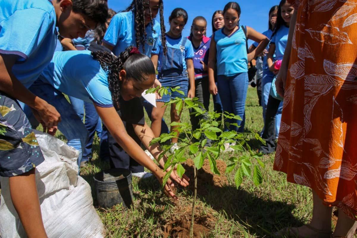 MEIO AMBIENTE - Abertura da Semana do Meio Ambiente em Vilhena destacará desafios entre agro e preservação
