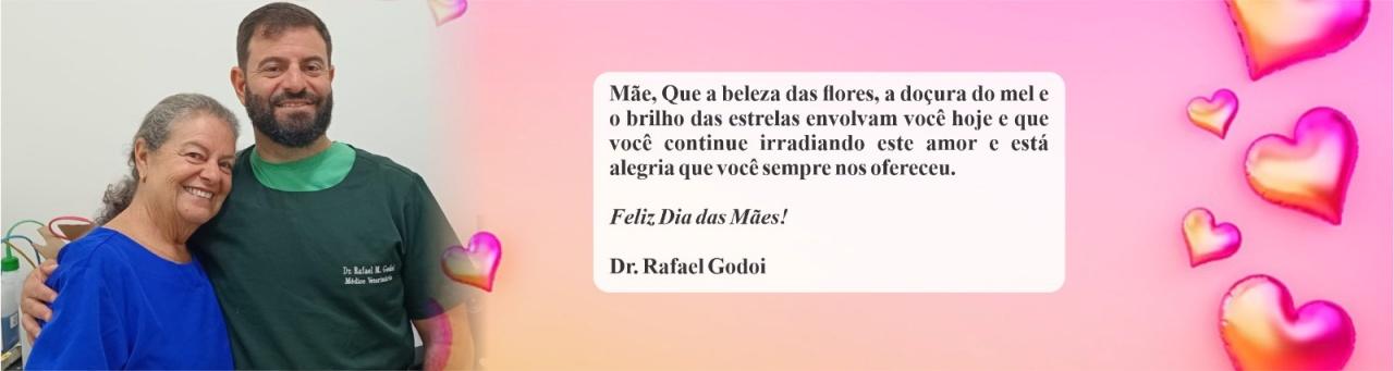 Publicidade 