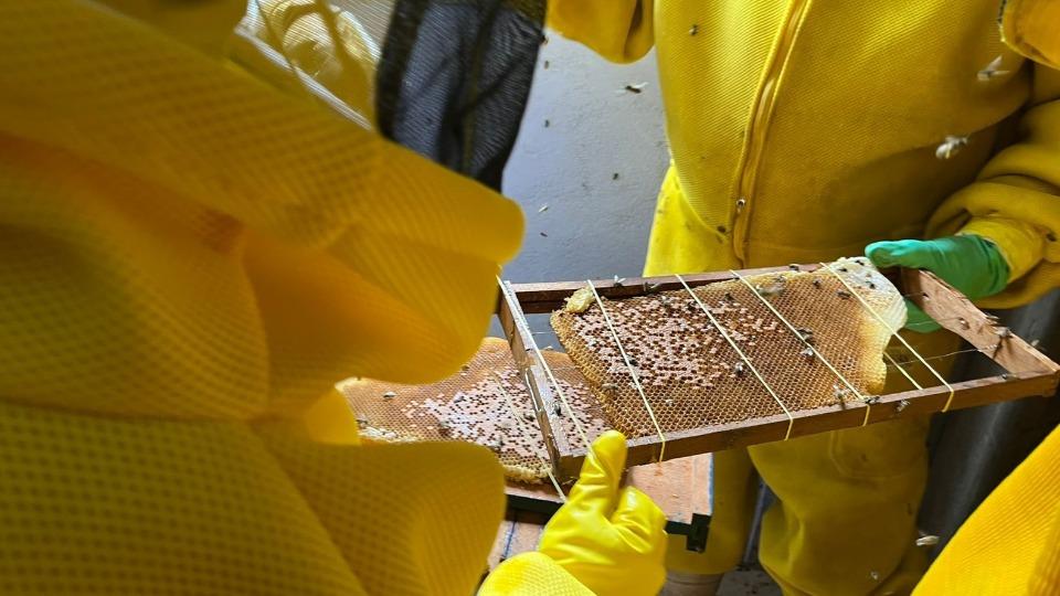 Rondônia -  Casa do Mel em Porto Velho vai fortalecer apicultura e agricultura familiar
