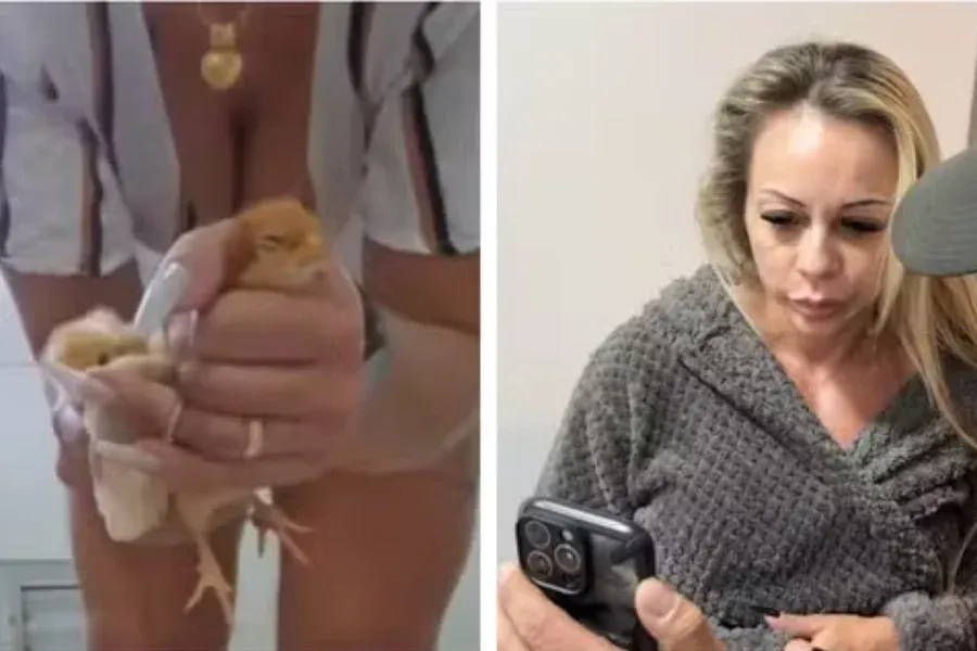São Paulo - Norma prevê multa de R$ 50 mil em caso de mulher que matava animais