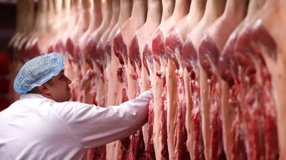 UE enviará ao Brasil lista com pedido de informações adicionais sobre carnes exportadas