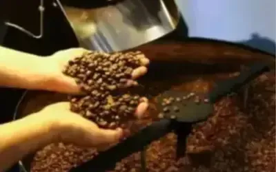 Agronegócios | Agronegócios - Café hoje: confira cotações para esta sexta-feira (12)