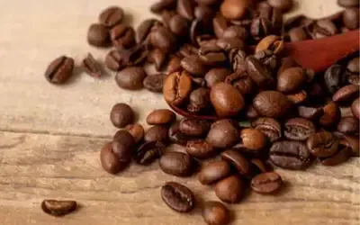 Agronegócios | Agronegócios - Café hoje: confira cotações para esta sexta-feira (26)
