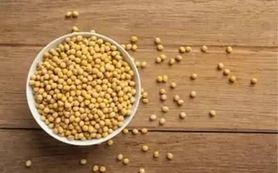 Agronegócios | Agronegócios - SOJA E TRIGO: confira os preços dos grãos nesta quarta-feira (17)