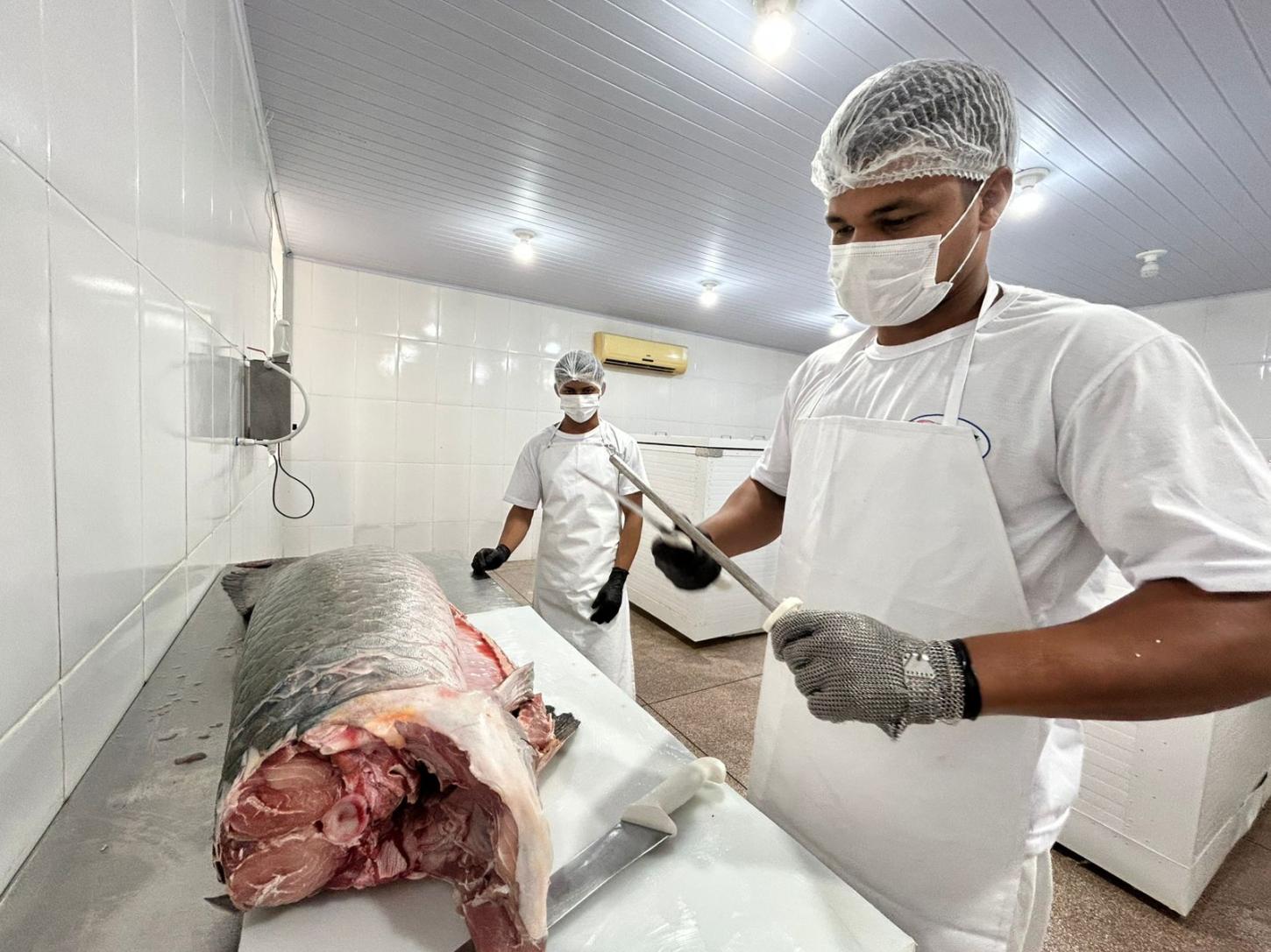 Cadeia do pescado ganha reforço da Prefeitura