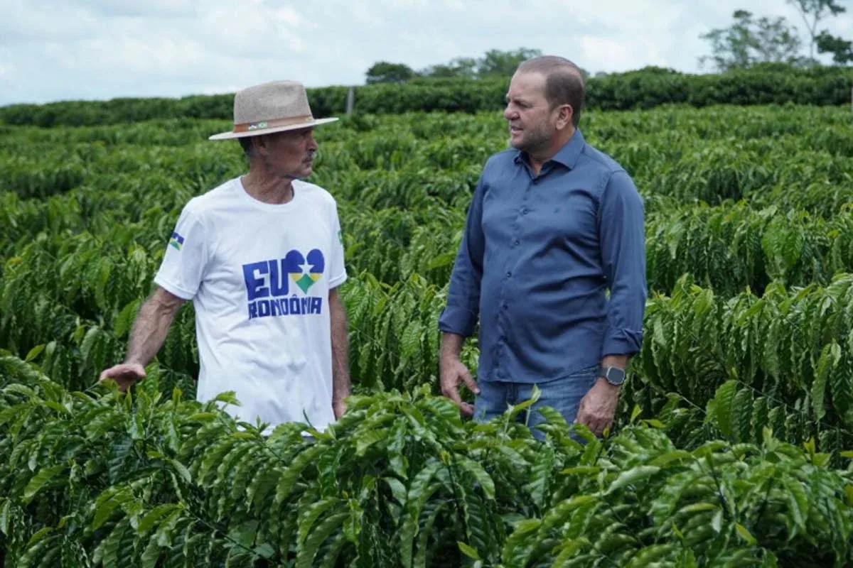 CAFEICULTURA  - Projeto Raízes do Café recebe R$700 mil com apoio do deputado Cirone Deiró