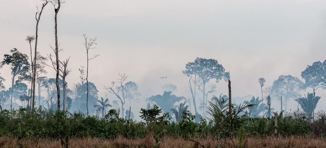 Cidades Ibama inicia operação para prevenir incêndios florestais na Amazônia