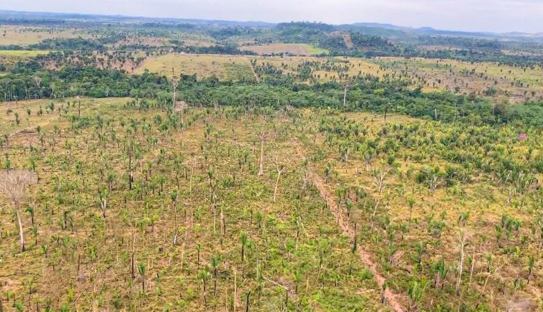 Cidades - MPRO entra com Ação Civil Pública por desmatamento de área equivalente a 1.780 campos de futebol