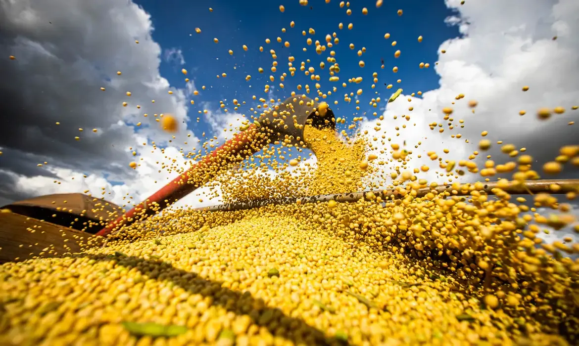 Economia - Conab: produção de grãos pode chegar a 358,6 milhões de toneladas