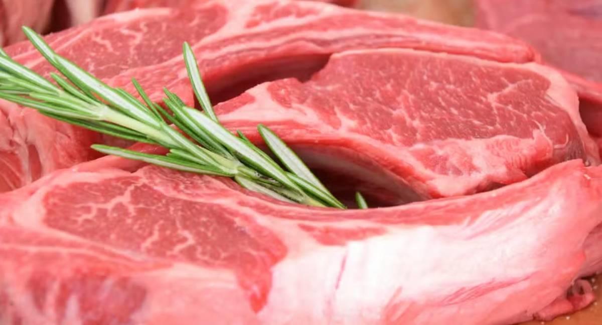 Mundo - Trump acusa Brasil de trabalho forçado na pecuária, mas isenta carne bovina de nova taxação