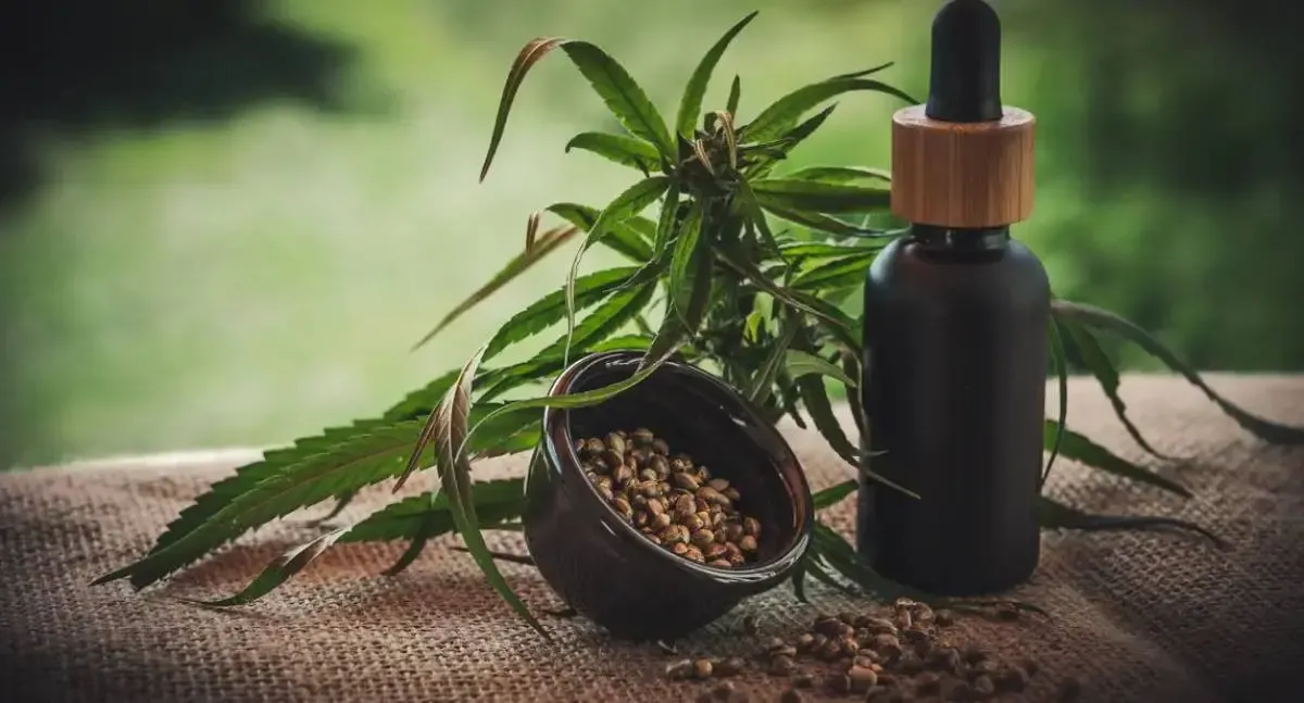 Notícias - Projeto apoia mães e crianças atípicas tratadas à base de cannabis