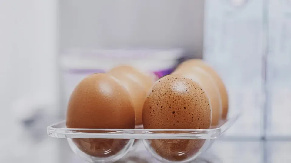 Quanto tempo os ovos duram na geladeira? Saiba como identificar