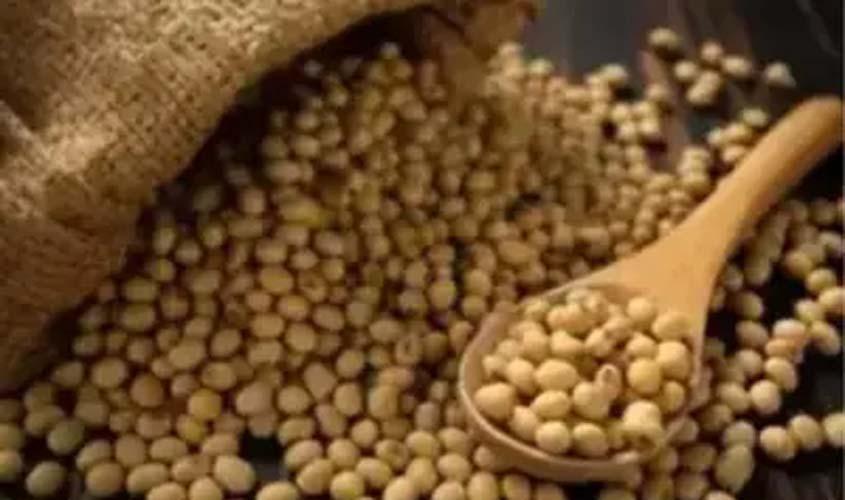 SOJA E TRIGO: confira os preços dos grãos nesta quinta-feira (11)