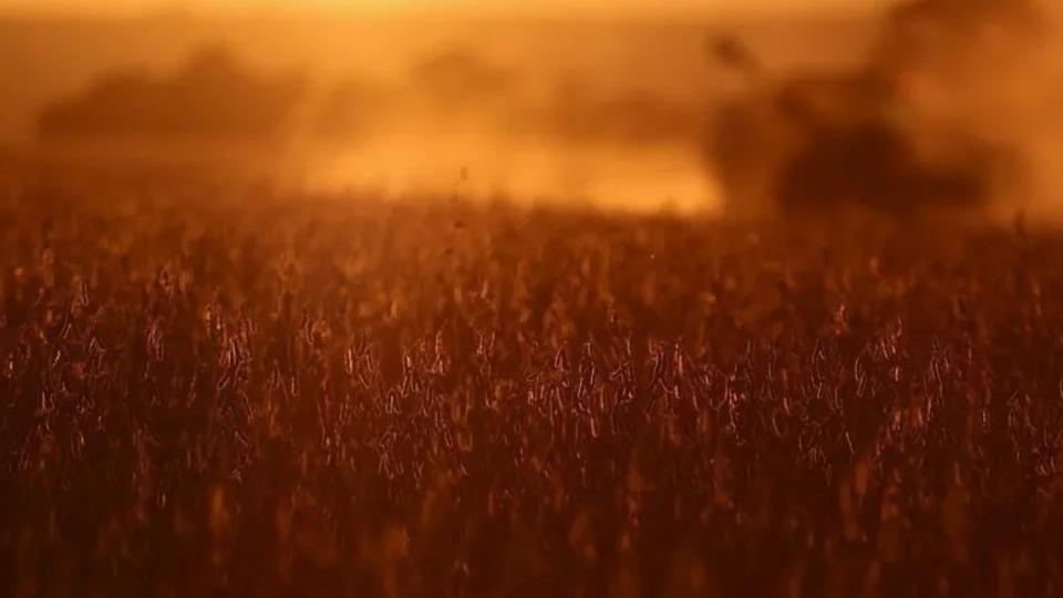 Agro -  Tarifaço dos EUA afeta 70% de exportações do agronegócio gaúcho