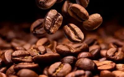 Agronegócios  |  Café -  Café hoje: confira cotações para esta terça-feira (28)