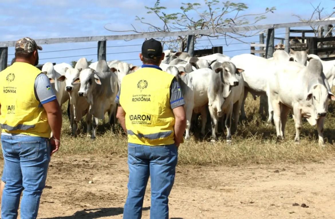 Política - Governo retira R$ 11,8 milhões do Fundo de Defesa Sanitária Animal, não devolve recursos e preocupa setor produtivo