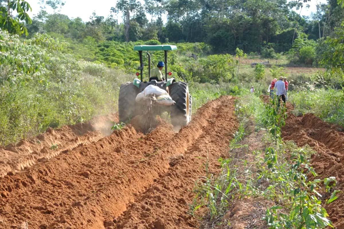 RECONHECIMENTO - Dia do Agricultor celebra quem transforma a terra em alimento e fortalece o desenvolvimento de Porto Velho
