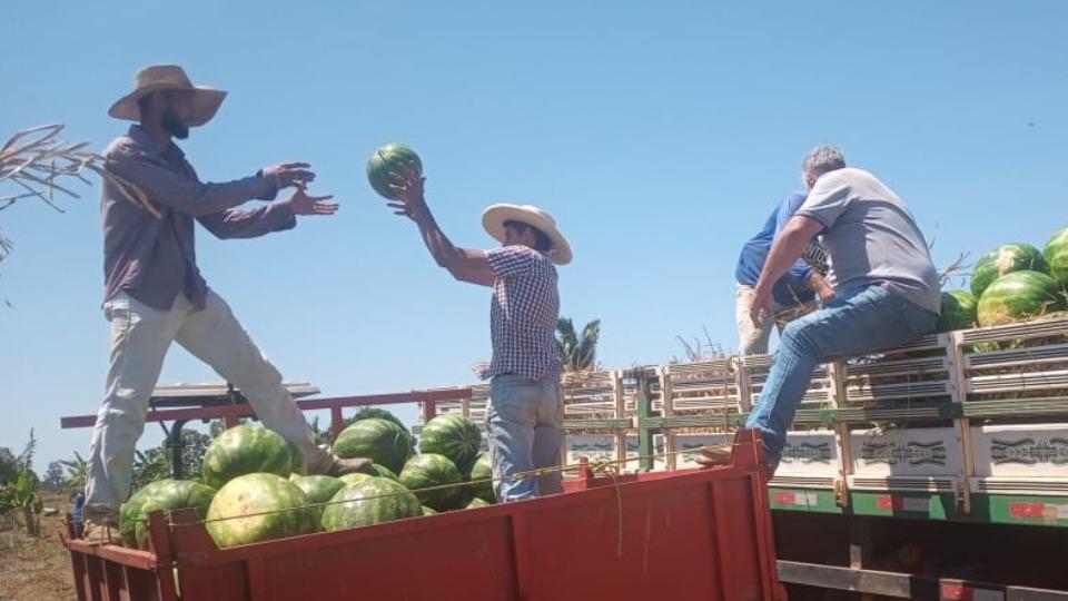 Rondônia -  Porto Velho lidera agronegócio de Rondônia e Agrotec 2026 promete destacar potencial do setor