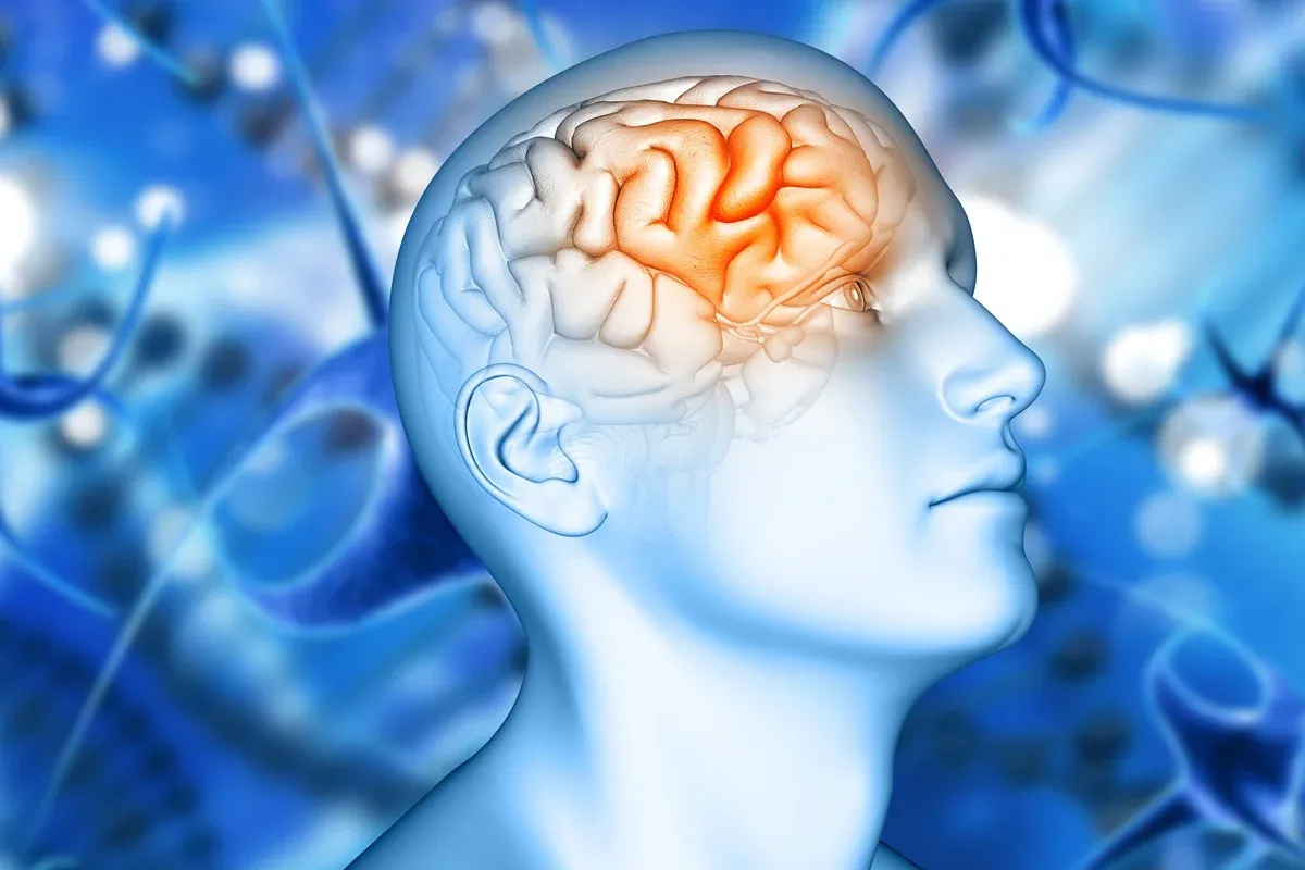 Saúde Novo remédio contra Alzheimer pode reduzir declínio cognitivo em 50%