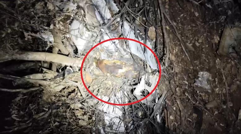 Vídeo mostra homem carbonizado após avião com carga de cocaína cair em MT; dois morreram