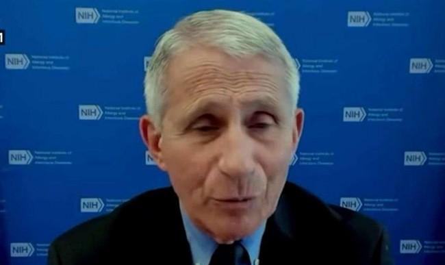 Internacional-  Um grande dia, o indiciamento de Anthony Fauci: Chegou o momento da prestação de contas