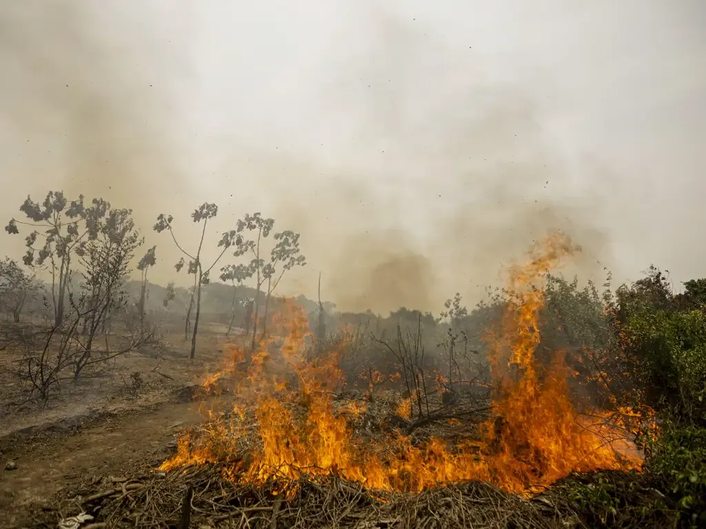 Meio Ambiente | Mudanças climáticas - Brasil registra quase 30 mil focos de incêndio em 2026; aumento de temperatura levanta alerta de risco para Amazônia, Cerrado e Caatinga