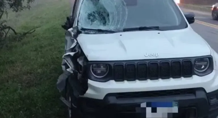 Polícia - Irmãos de 7 e 14 anos morrem atropelados por utilitário na BR-470