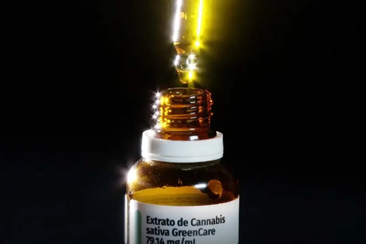 TRATAMENTO - Autorizações para importação de cannabis aumentam 29% em 2026
