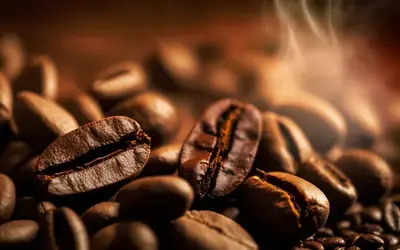 Agronegócios | Café - Café hoje: confira cotações para esta segunda-feira (14)
