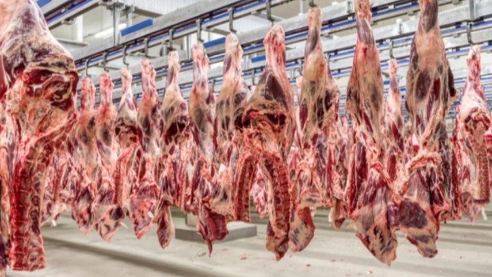 Brasil - União Europeia bloqueia temporariamente carnes, ovos e mel produzidos no Brasil
