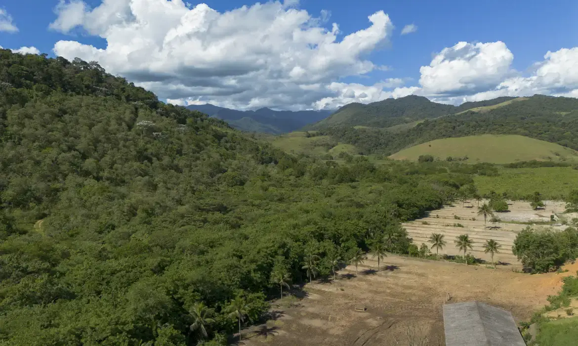 Meio Ambiente  -Agricultura ganha 11 milhões de hectares em 41 anos na Mata Atlântica