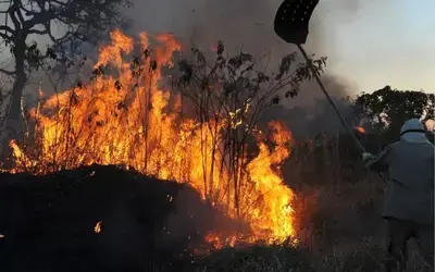 Meio Ambiente | Queimadas - Mais de 500 municípios têm risco alto de fogo previsto até novembro, aponta governo