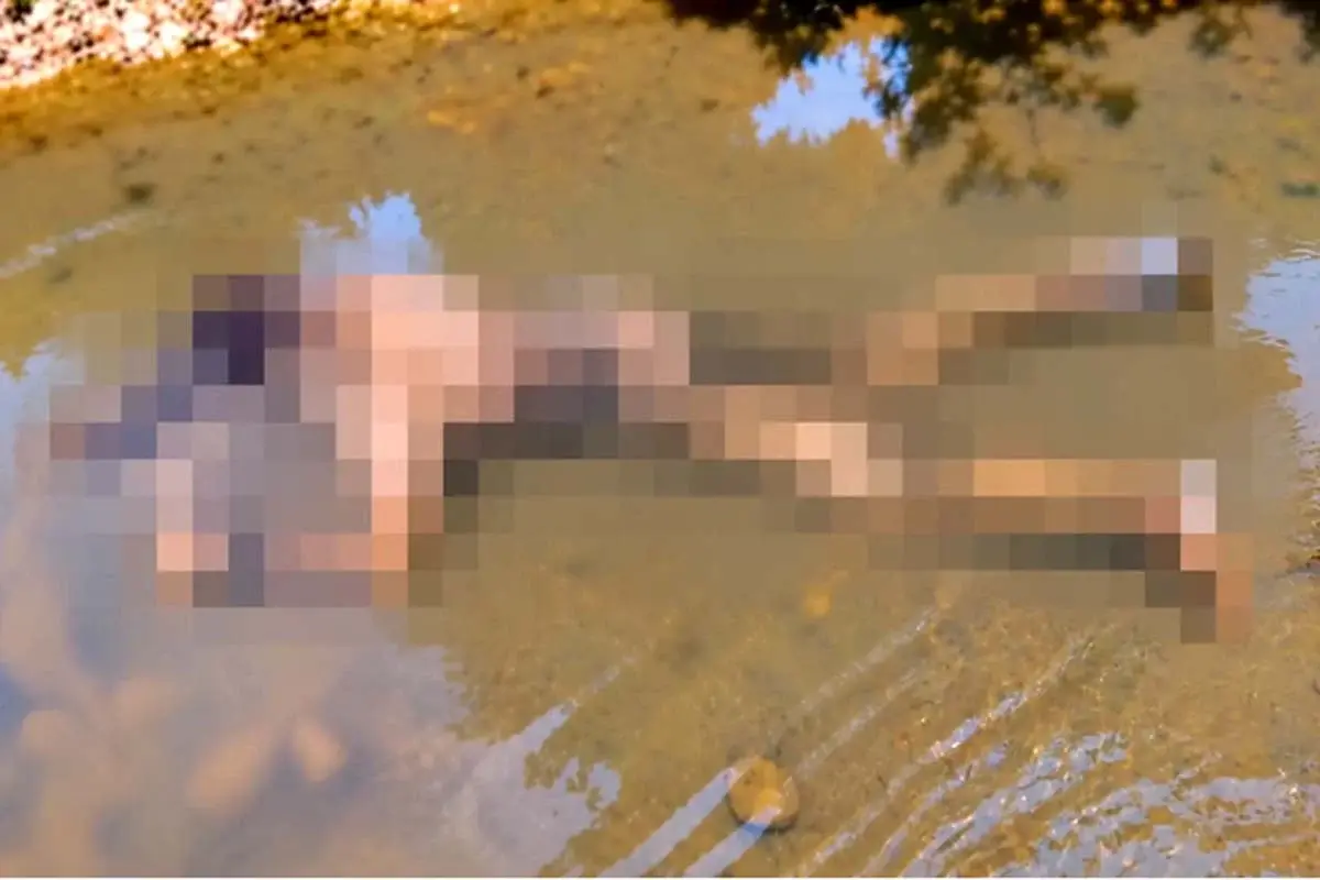 Ouro Preto do Oeste - Homem é encontrado morto com pelo menos 15 ferimentos à faca